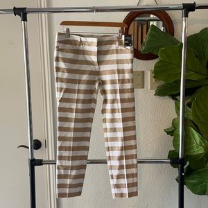 Striped Beige Pant New York & Company